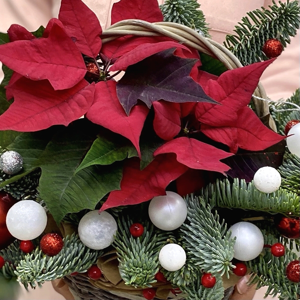 Poinsettia Christmas Floral Arrangement