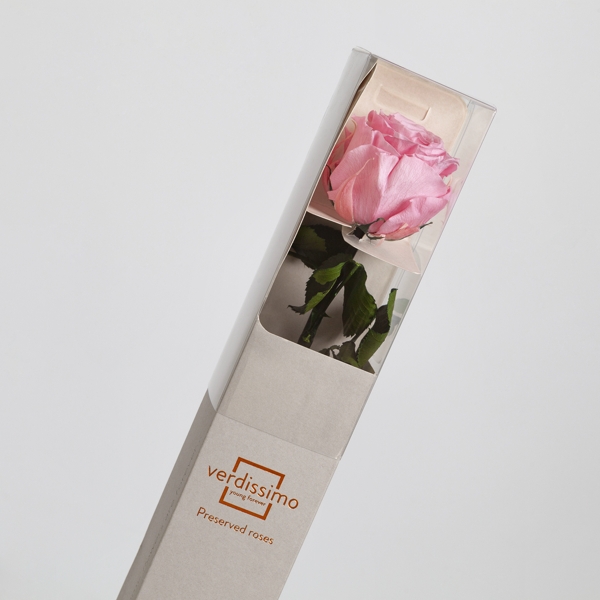Preserved Pink Rose