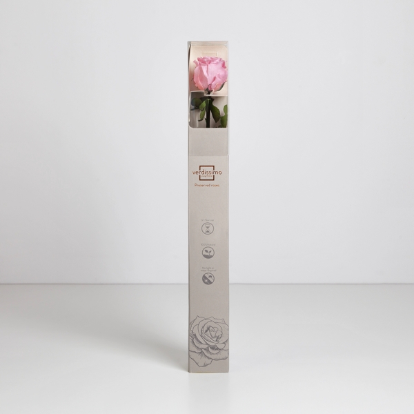 Preserved Pink Rose