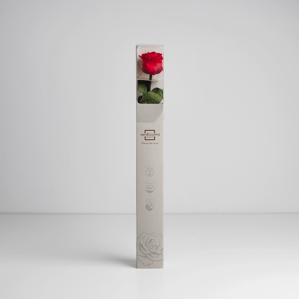 Preserved Red Rose