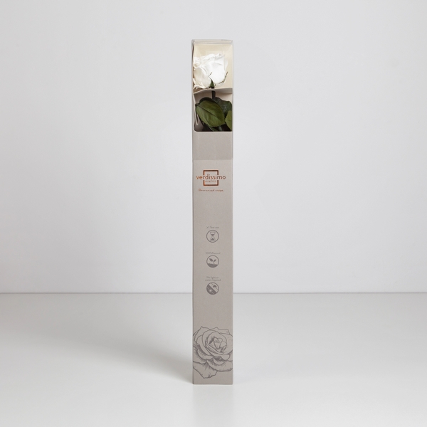Preserved White Rose